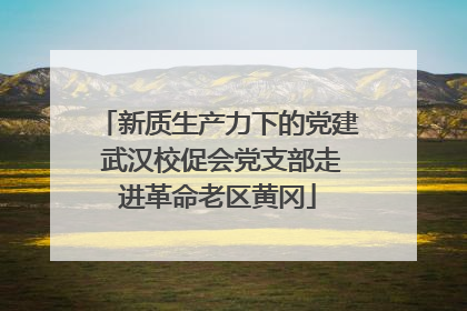 新质生产力下的党建 武汉校促会党支部走进革命老区黄冈