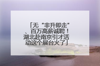 无“非升即走”、百万高薪诚聘！湖北赴南京引才活动这个展台火了