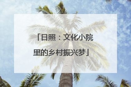 日照：文化小院里的乡村振兴梦