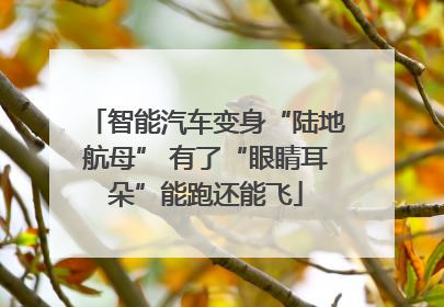 智能汽车变身“陆地航母” 有了“眼睛耳朵”能跑还能飞