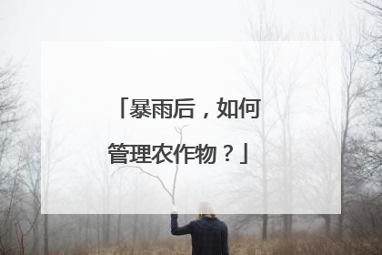 暴雨后，如何管理农作物？