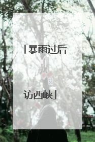 暴雨过后访西峡