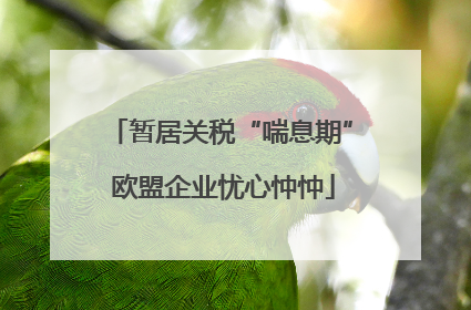 暂居关税“喘息期” 欧盟企业忧心忡忡