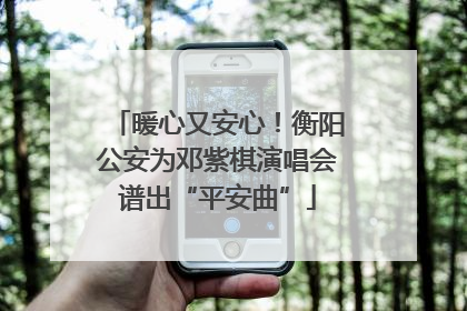 暖心又安心！衡阳公安为邓紫棋演唱会谱出“平安曲”
