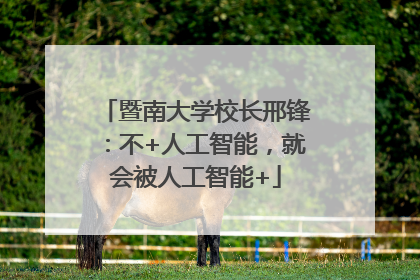暨南大学校长邢锋：不+人工智能，就会被人工智能+