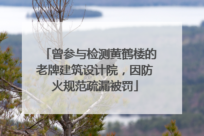 曾参与检测黄鹤楼的老牌建筑设计院，因防火规范疏漏被罚