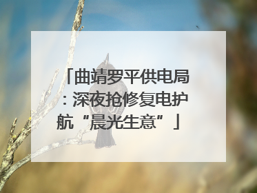 曲靖罗平供电局：深夜抢修复电护航“晨光生意”