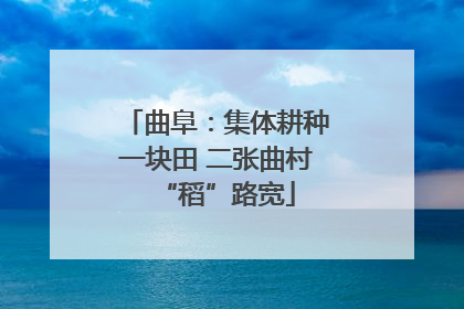 曲阜：集体耕种一块田 二张曲村“稻”路宽