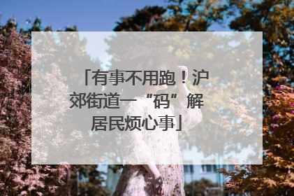 有事不用跑！沪郊街道一“码”解居民烦心事