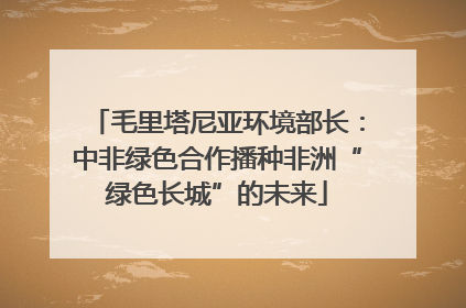 毛里塔尼亚环境部长：中非绿色合作播种非洲“绿色长城”的未来