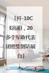 歼-10CE亮相，20多个军政代表团密集到访展台