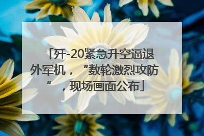 歼-20紧急升空逼退外军机，“数轮激烈攻防”，现场画面公布