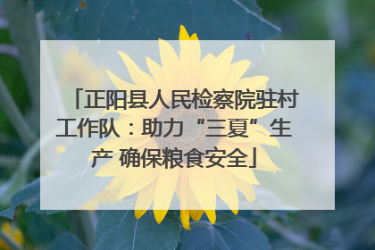 正阳县人民检察院驻村工作队：助力“三夏”生产 确保粮食安全
