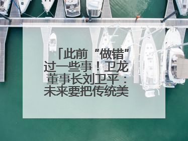 此前“做错”过一些事！卫龙董事长刘卫平：未来要把传统美食亲民娱乐化