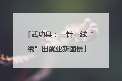 武功县：一针一线“绣”出就业新图景