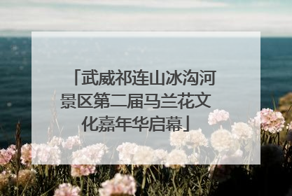 武威祁连山冰沟河景区第二届马兰花文化嘉年华启幕