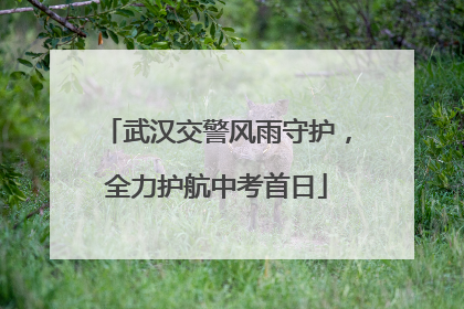 武汉交警风雨守护，全力护航中考首日