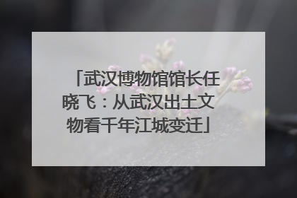 武汉博物馆馆长任晓飞：从武汉出土文物看千年江城变迁