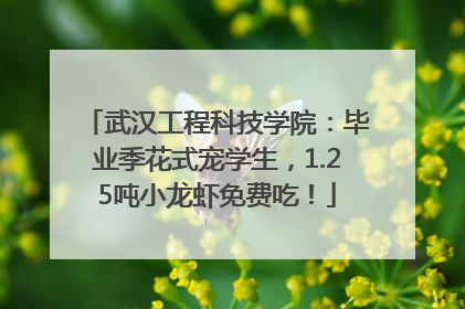 武汉工程科技学院：毕业季花式宠学生，1.25吨小龙虾免费吃！