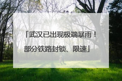武汉已出现极端暴雨！部分铁路封锁、限速