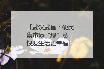 武汉武昌：便民集市添“绿”意 银发生活更幸福