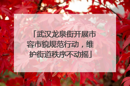 武汉龙泉街开展市容市貌规范行动，维护街道秩序不动摇
