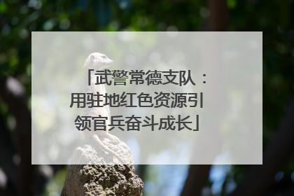 武警常德支队：用驻地红色资源引领官兵奋斗成长