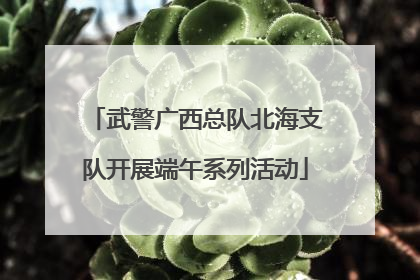 武警广西总队北海支队开展端午系列活动