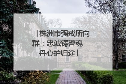株洲市强戒所向群：忠诚铸警魂 丹心护归途