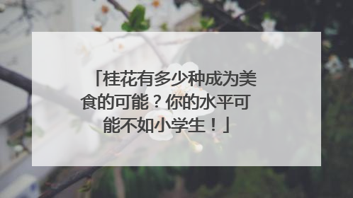 桂花有多少种成为美食的可能？你的水平可能不如小学生！