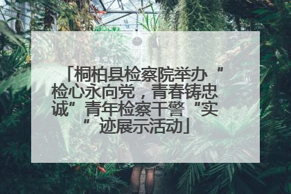 桐柏县检察院举办“检心永向党，青春铸忠诚”青年检察干警“实”迹展示活动