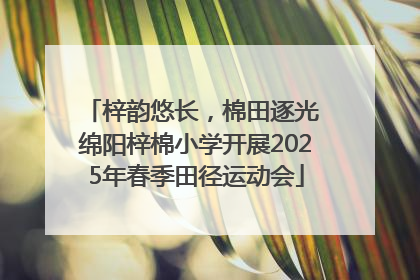 梓韵悠长，棉田逐光 绵阳梓棉小学开展2025年春季田径运动会