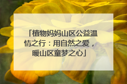 植物妈妈山区公益温情之行：用自然之爱，暖山区童梦之心