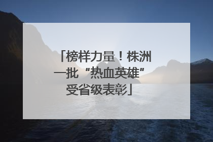 榜样力量！株洲一批“热血英雄”受省级表彰