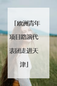欧洲青年项目路演代表团走进天津