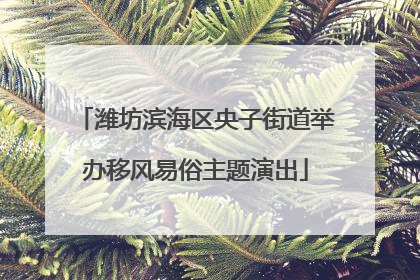 潍坊滨海区央子街道举办移风易俗主题演出