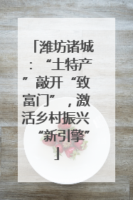 潍坊诸城：“土特产”敲开“致富门”，激活乡村振兴“新引擎”