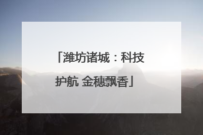 潍坊诸城：科技护航 金穗飘香
