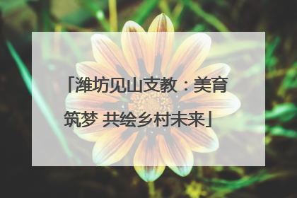 潍坊见山支教：美育筑梦 共绘乡村未来