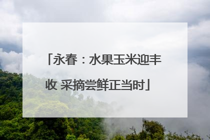 永春：水果玉米迎丰收 采摘尝鲜正当时