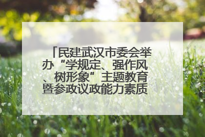 民建武汉市委会举办“学规定、强作风、树形象”主题教育暨参政议政能力素质提升培训班
