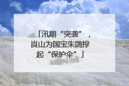 汛期“突袭”，崀山为国宝朱鹮撑起“保护伞”