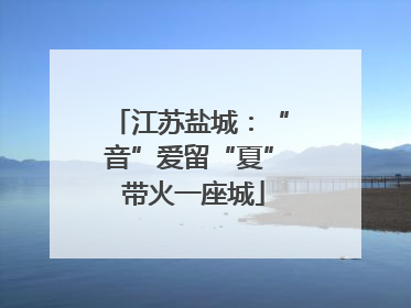江苏盐城：“音”爱留“夏” 带火一座城