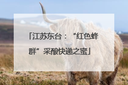 江苏东台：“红色蜂群”采酿快递之蜜