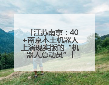 江苏南京：40+南京本土机器人上演现实版的“机器人总动员”