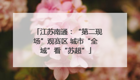 江苏南通：“第二现场”观赛区 城市“全域”看“苏超”
