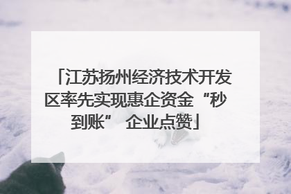 江苏扬州经济技术开发区率先实现惠企资金“秒到账” 企业点赞