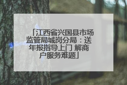 江西省兴国县市场监管局城岗分局：送年报指导上门 解商户服务难题