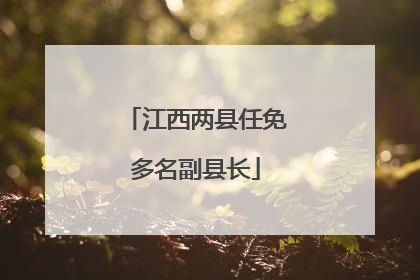 江西两县任免多名副县长