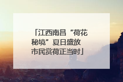 江西南昌“荷花秘境”夏日盛放 市民赏荷正当时